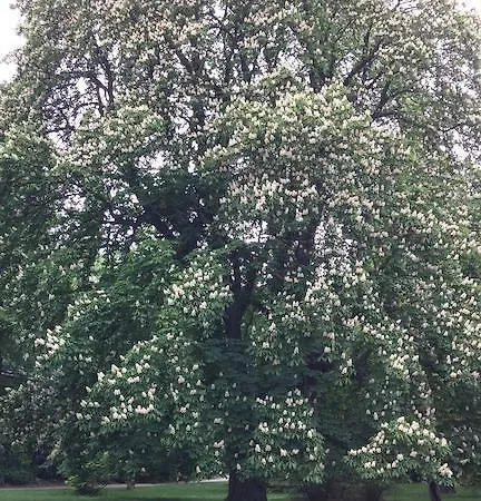 Appartement Nadezda Karlsbad