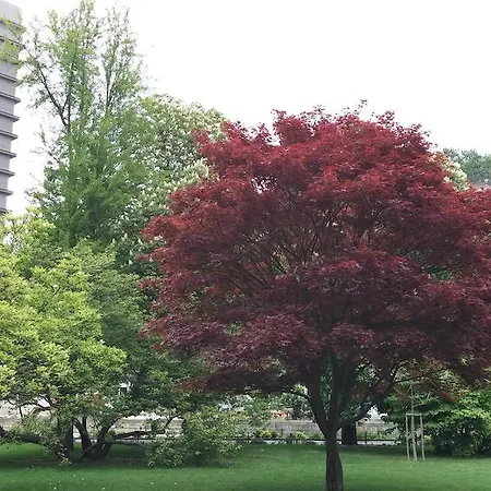 Appartement Nadezda Karlsbad